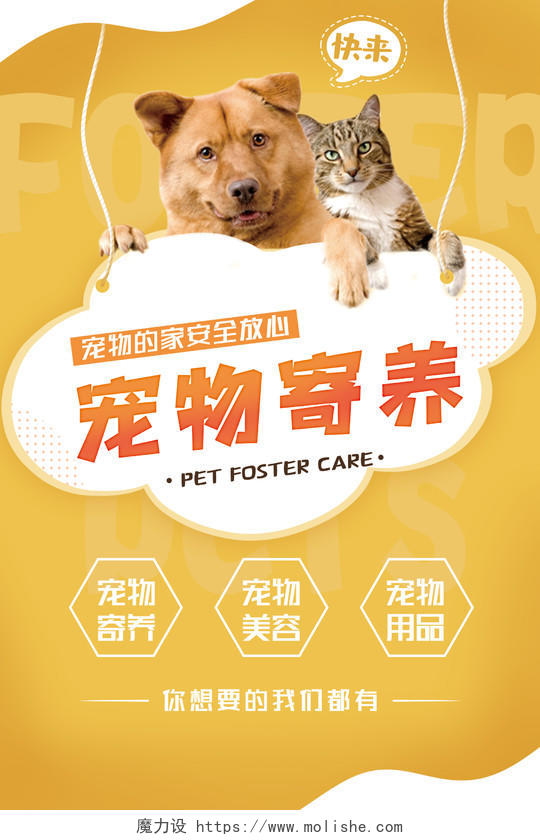 黄色简洁宠物寄养店宠物医院海报宠物店宠物海报